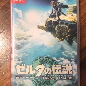 ゼルダの伝説 ティアーズ オブ ザ キングダム Nintendo Switch