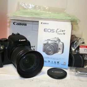 【作動良好】 Canon EOS Kiss Digital N キット （D2）