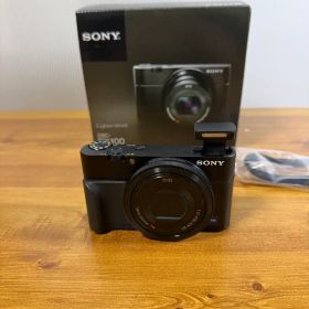 廃盤 無印 初代 SONY ソニー DSC-RX100 デジタルカメラ
