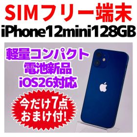 SIMフリー iPhone12mini 128GB 1611 ブルー 新品電池