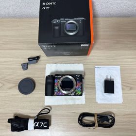 SONY α7C ミラーレス一眼 本体 ILCE-7C