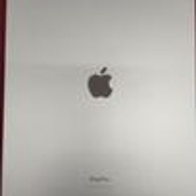 IPAD PRO 第6世代 MNXQ3J/A APPLE