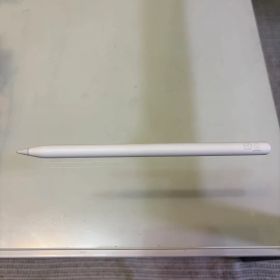 ジャンク品 Apple Pencil 第2世代 本体 A2051 過放電？