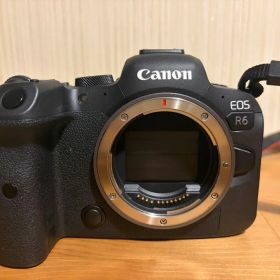 Canon EOS R6 RF24-105mm F4-7.1 IS STM