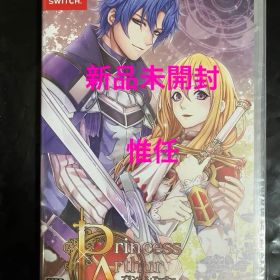新品 Princess Arthur プリンセスアーサー ニンテンドースイッチ①