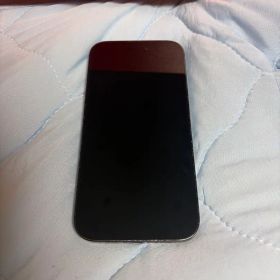 Apple iPhone 14 Pro 本体