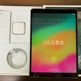 Apple iPad Pro 10.5インチ256GB Wi-Fiモデル