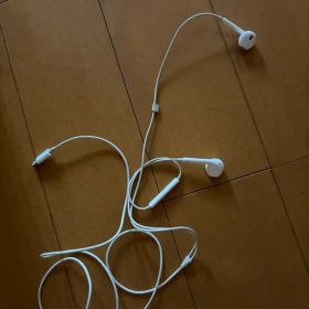 Apple EarPods with Lightning Connector