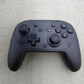 SWITCH 2 PROコントローラー BEE-A-FSSKD NINTENDO