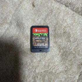 Nintendo Switch マインクラフト ソフトのみ