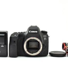 【ショット数9,916回】CANON EOS 6D MARK II Y4004