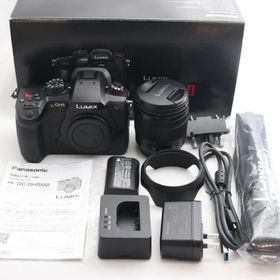 パナソニック(Panasonic) ミラーレス一眼カメラ ルミックス GH5M2 レンズキット 標準ズームレンズ付属 ブラック DC-GH5M2M