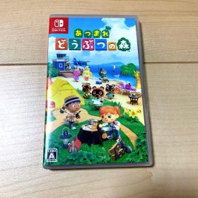 Switch あつまれ どうぶつの森 NintendoSwitch