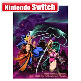 【Switch】闇の仕事人KAGE Shadow of The Ninja 返品種別B