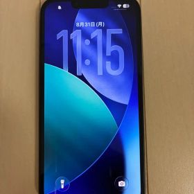 iPhone 16e ブラック カメラ故障 ジャンク品
