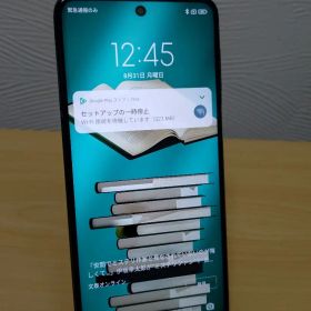 【LM000638】Redmi Note 9S