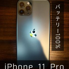 【極美品・大容量512GB】iPhone 11 Pro / バッテリー100%