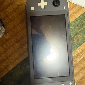 ジャンク品 SwitchLight グレー