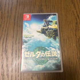ゼルダの伝説 ティアーズ オブ ザ キングダム