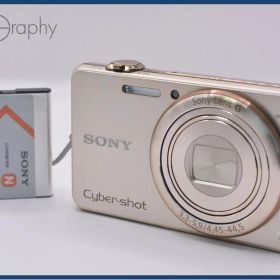 【動作保証】 ソニー SONY Cyber-shot DSC-WX200 10x バッテリー付属 同梱無料 #ak474