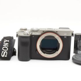 超極上★ソニー SONY α7C ボディ ILCE-7C #1263