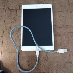 Apple iPad mini3 16GB MGYR2J/A 中古 初期化済み