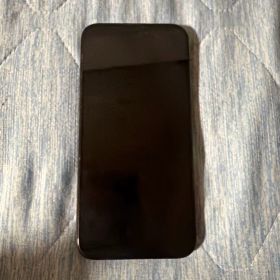 Apple iPhone 15 Pro Max 本体