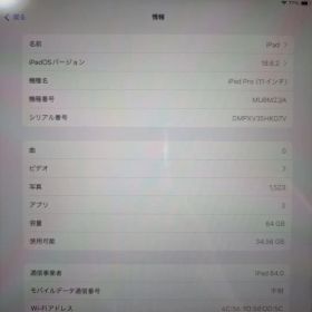 Apple iPad Pro 11インチ 64GB 本体Cellular第一世代