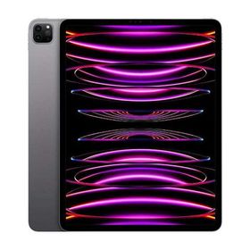 iPad Pro 11インチ 第4世代[2TB] Wi-Fiモデル スペースグレイ …