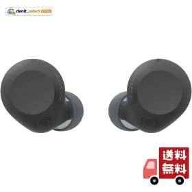 ソニー(SONY) WF-C710N ブラック ワイヤレスイヤホン 高性能ノイズキャンセリング Bluetoothロングバッテリー 外音取り込み IPX4防滴性能 軽量 コンパクト マルチポイント接続