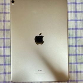 Apple iPad Pro 10.5インチ 64GB ペン付き
