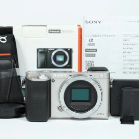 【超美品】 ソニー SONY α6000 ILCE-6000 ボディ