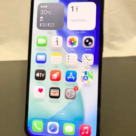 Apple iPhone13pro 256GB グラファイト