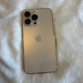 Apple iPhone 13 Pro 256GB 本体