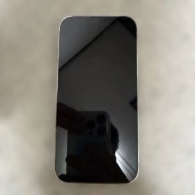 つ*ん様 iPhone13pro