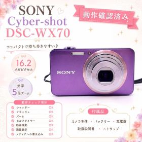 SONY Cyber-shot DSC-WX70 パープル 動作確認済 コンデジ