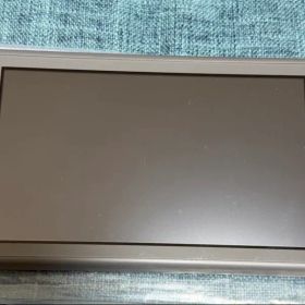 Nintendo Switch lite 本体のみ ジャンク