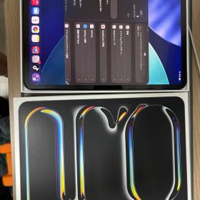 iPad Pro 11インチ (M5) 新品 156,480円 中古 149,000円 | ネット最