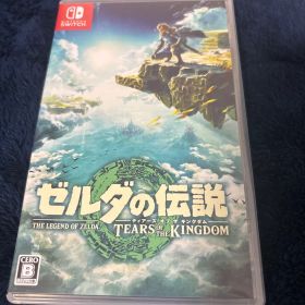 ゼルダの伝説 ティアーズ オブ ザ キングダム Nintendo Switch