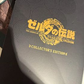 Nintendo Switch ゼルダの伝説 ティアーズ オブ ザ キングダム