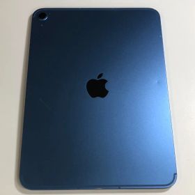 【ジャンク品】iPad A16 第11世代 256GB セルラー
