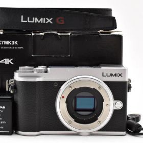 ★極上品★《ショット数3811回》パナソニック Panasonic DC-GX7MK3-S ボディ シルバー★ YM2027＃77