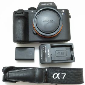 【期間限定セール】ソニー SONY フルサイズセンサーミラーレス一眼 α7S II