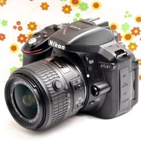 【Wi-Fi搭載】ニコン Nikon D5300 ☆一眼レフ☆初心者おすすめ