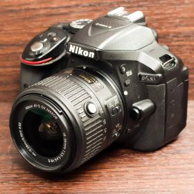 ニコン Nikon D5300 ❤Wi-Fi内蔵❤2400万画素❤一生の思い出に