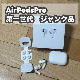 Apple AirPods Pro 第一世代 本体 ジャンク品