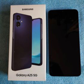 Galaxy A25 5G 黒 SC-53F ドコモ店支払済〇 各種サービス