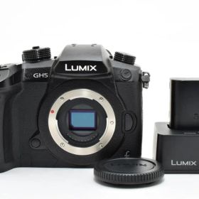 良品★Panasonic ルミックス DC-GH5 ボディ #487