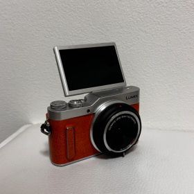 Panasonic LUMIX GF10 ミラーレス一眼