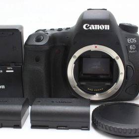 13984ショット！Canon EOS 6D Mark II ボディー EOS6DMK2 キヤノン
